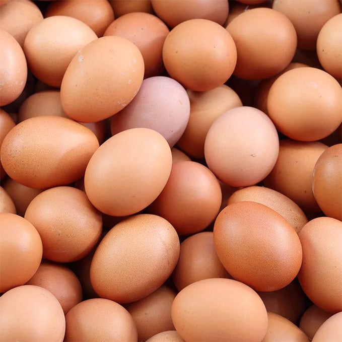 Organic Eggs