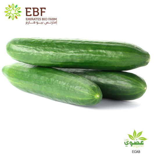 Organic Cucumber (500gm)