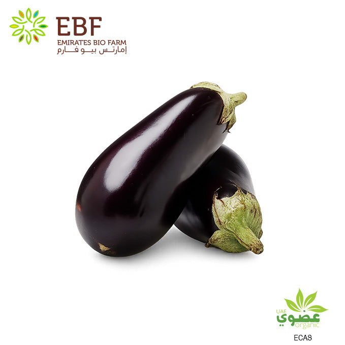 Organic Eggplant, Round (500gm)