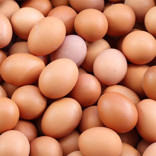 Bulk egg box (12 trays) 360 eggs