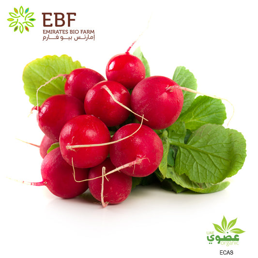 Organic Red Radish (250gm)