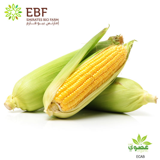 Organic Sweet Corn (500gm)