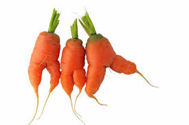 Beautiful shaped organic carrots - 3kg