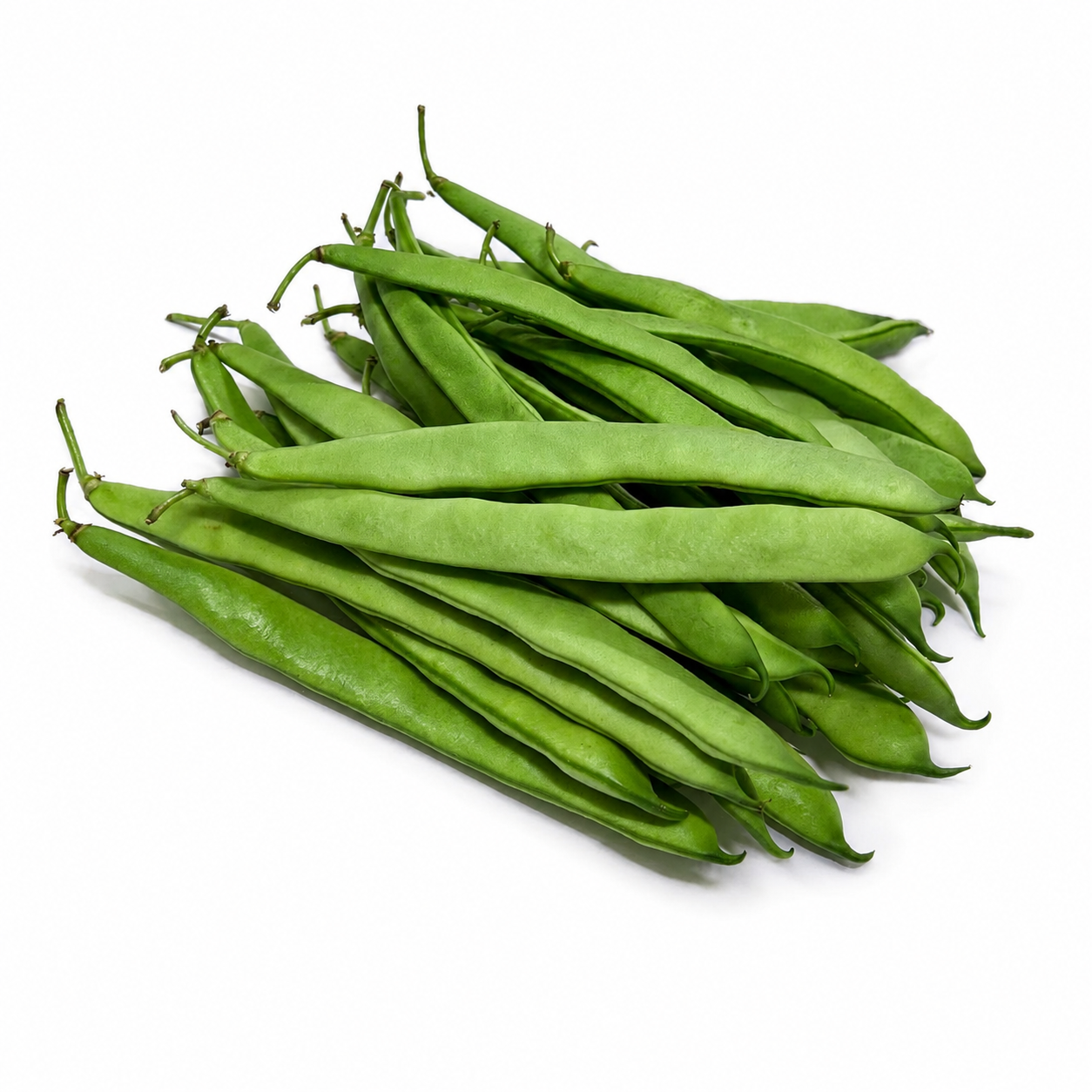 Organic Flat Beans, Lebanon Origin (250g)