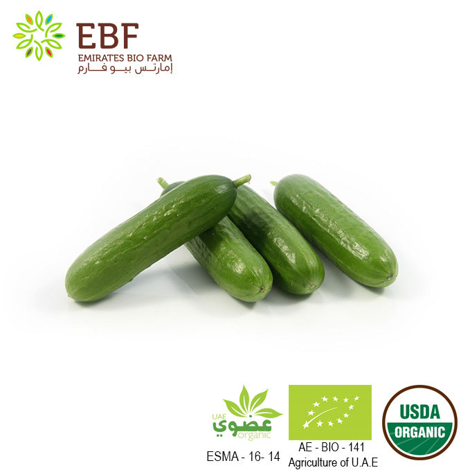Organic Cucumber, Snack (250gm)