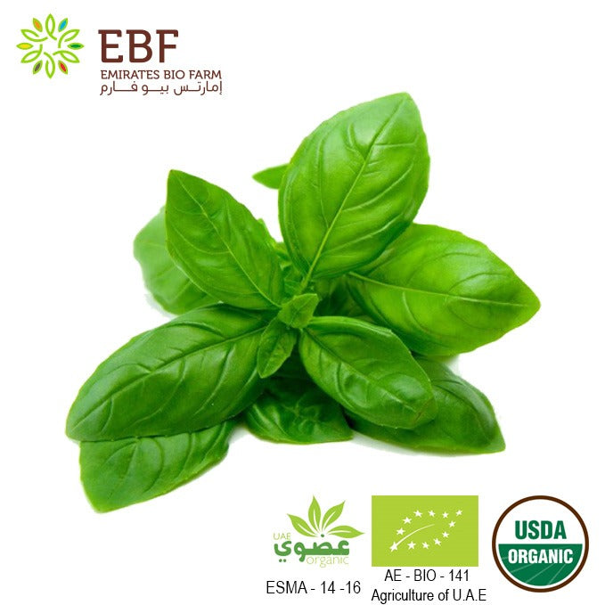 Organic Basil Bunch 100g Emirates Bio Farm