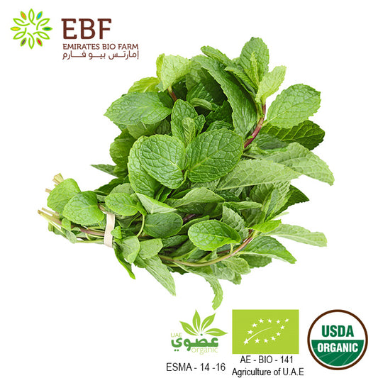 Organic Mint - Bunch (100gm)