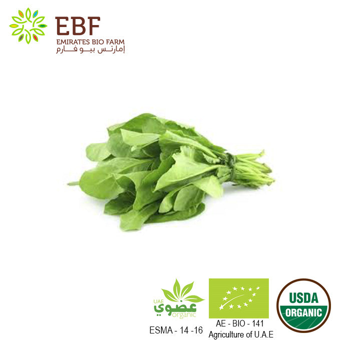 Organic Spinach - Bunch (100gm)