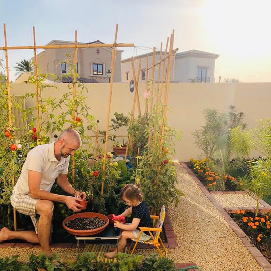 Planning a vegetable garden in Dubai- Part 3