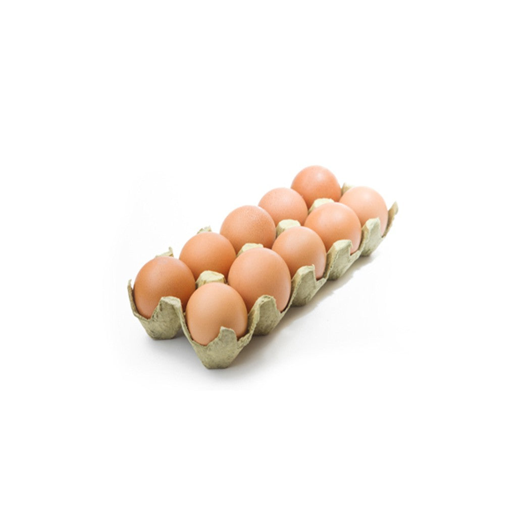 Organic Medium Eggs, Brown - Box (10 Pcs)
