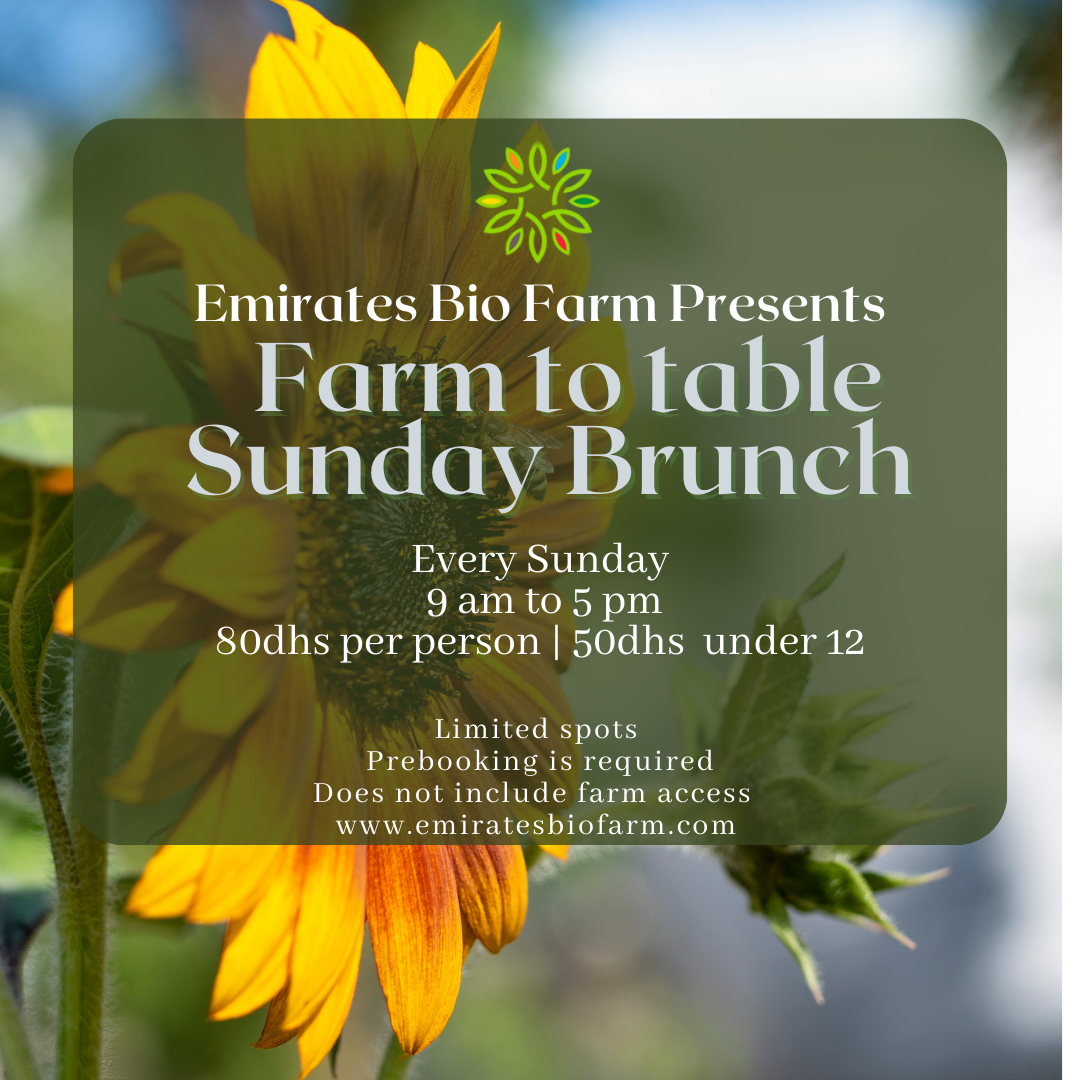 Farm to table Sunday Brunch
