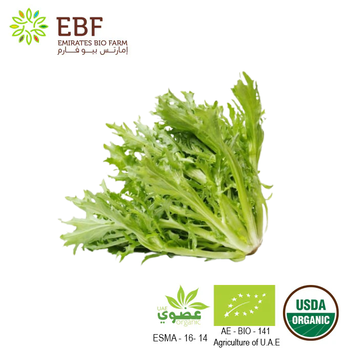 Organic Frisee lettuce 300 to 400g pc