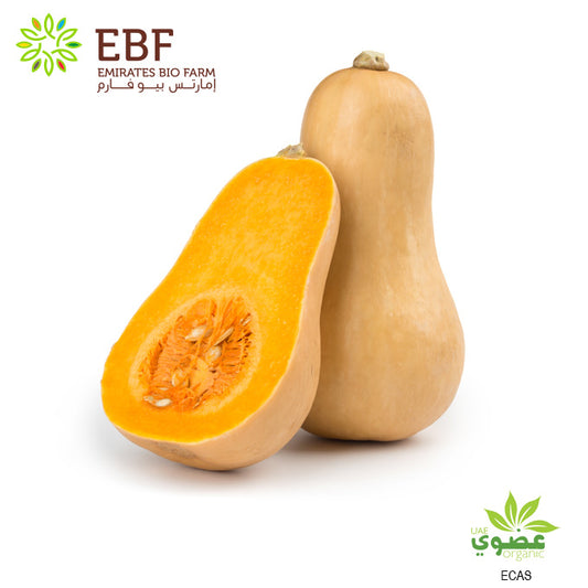 Organic Butternut - 1Pc Approx (400 - 500g)