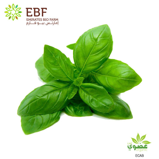 Organic Basil - Bunch (100g)