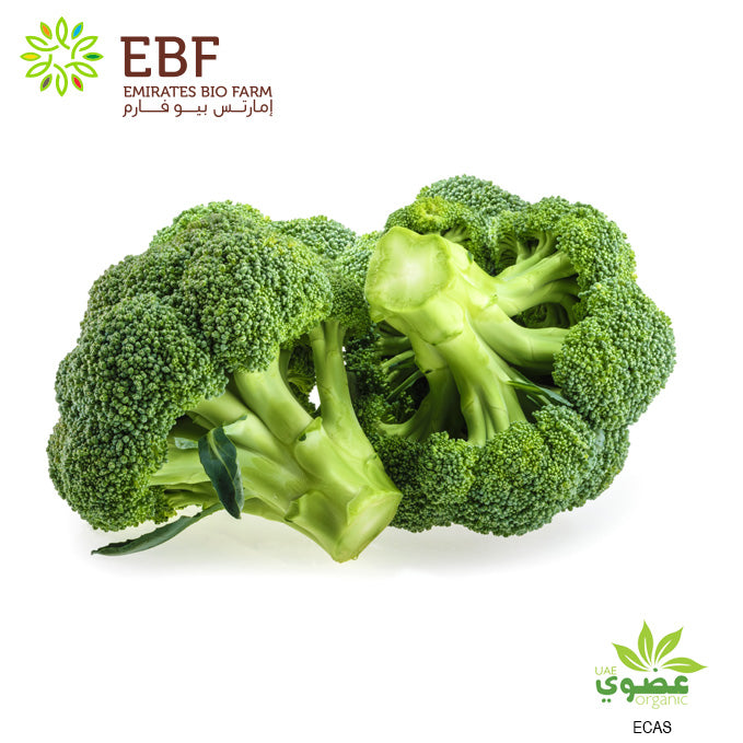 Organic Broccoli (500gm)
