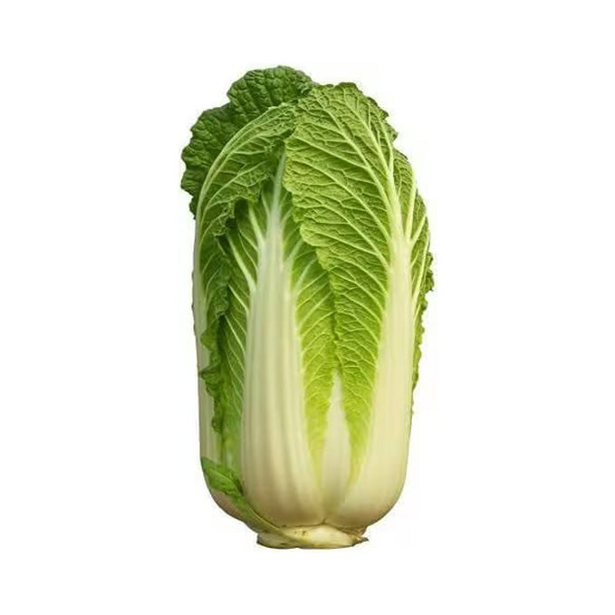 Organic Chinese Cabbage 500 to 700g (1PC)