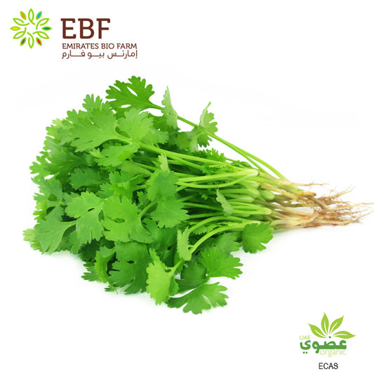 Organic Coriander - Bunch (100gm)