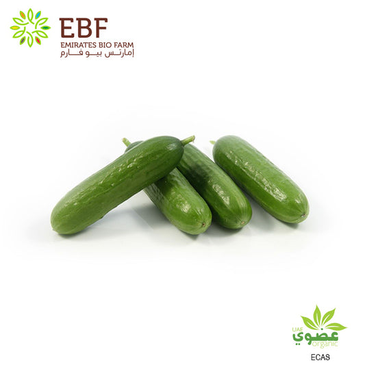 Organic Cucumber, Snack (250gm)