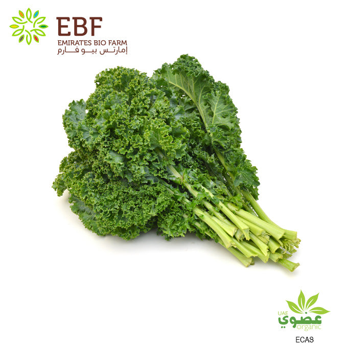 Organic Curly Kale - Bunch (100gm)