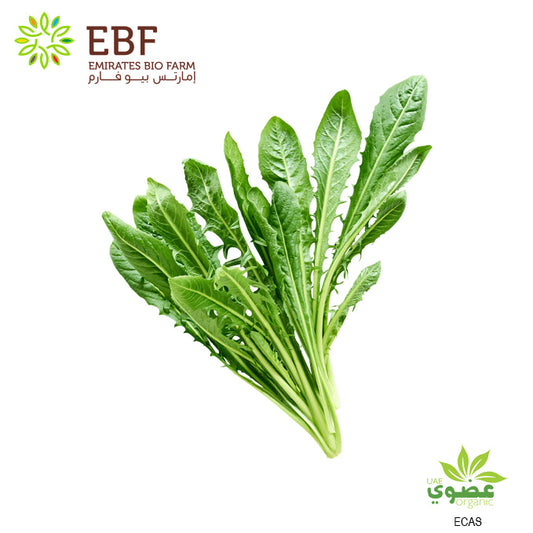 Organic Dandelion Leaves (هندباء), bunch (100g)