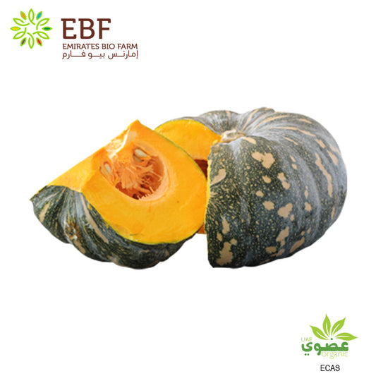 Organic Dark Green Pumpkin - Approx 2-2.5kg