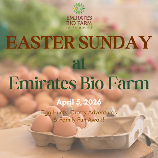 Easter Sunday at the Farm