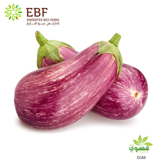 Organic Eggplant Pink (500gm)