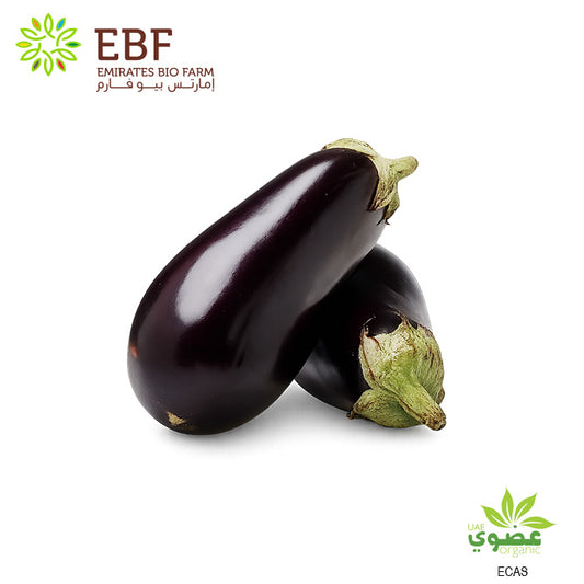 Organic Eggplant, Round (500gm)