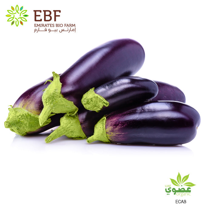Organic Eggplant (500gm)