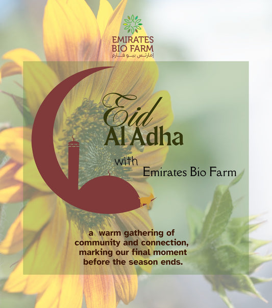 Spend Eid Al Adha with Emirates Bio Farm