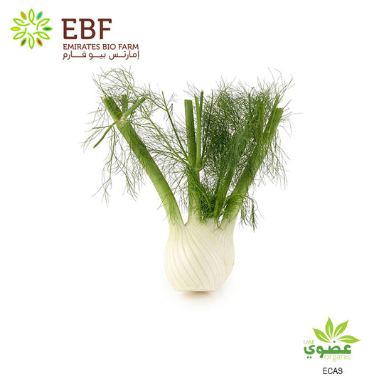 Organic Fennel (500gm)