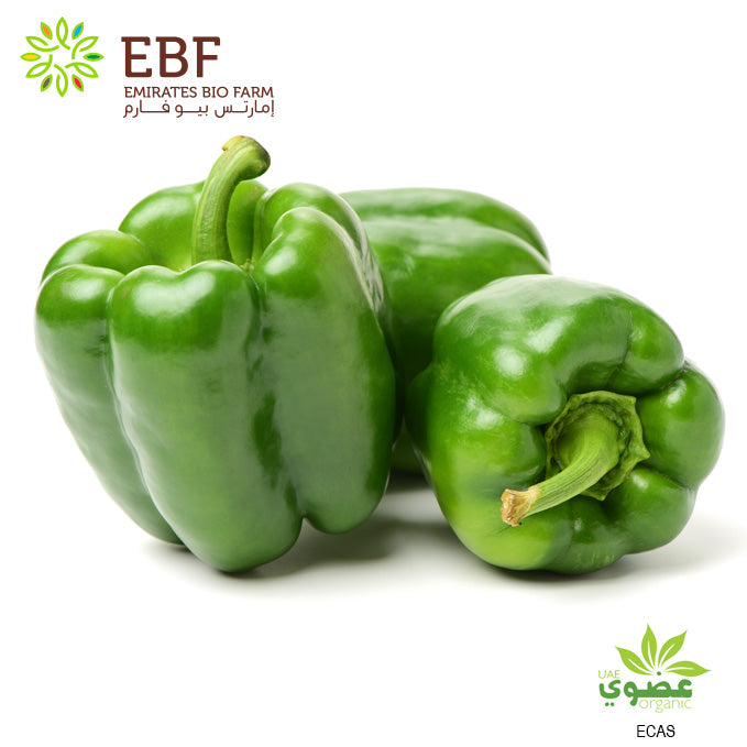Organic Green Capsicum (500gm)