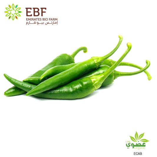 Organic Green Hot Chili (250gm)