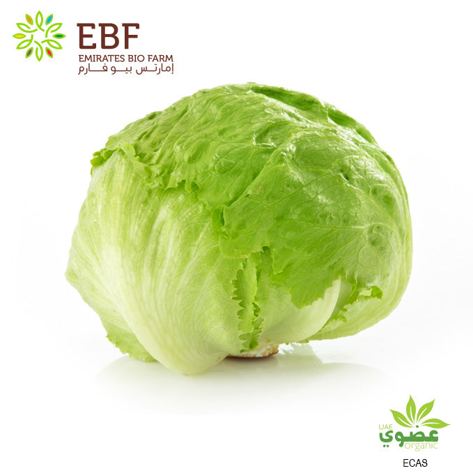 Organic Iceberg Lettuce - 1Pc (300gm)