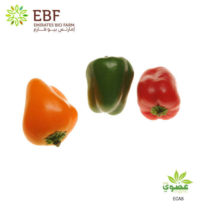 Organic Mini Capsicum, Mixed Colours (250gm)