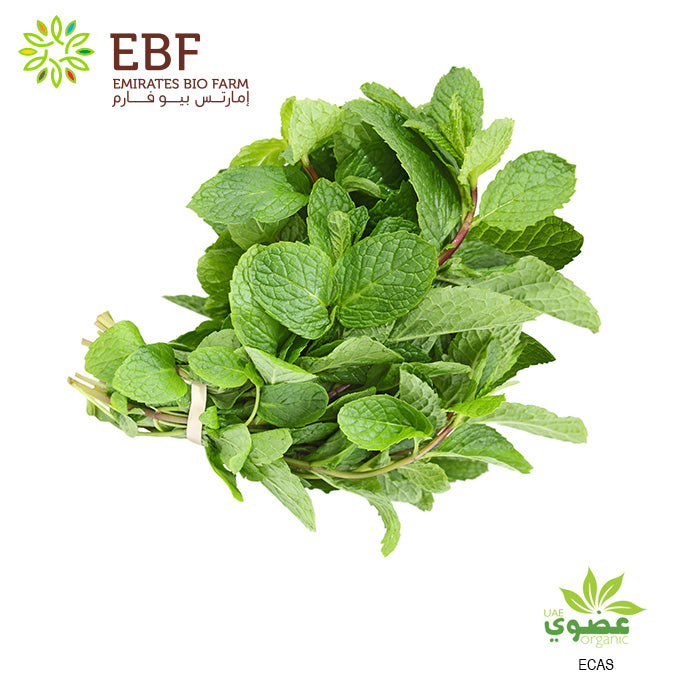 Organic Mint - Bunch (100gm)