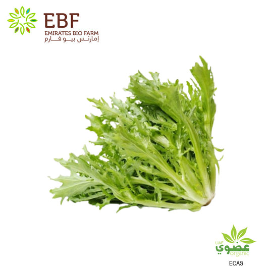 Organic Frisee lettuce 300 to 400g pc