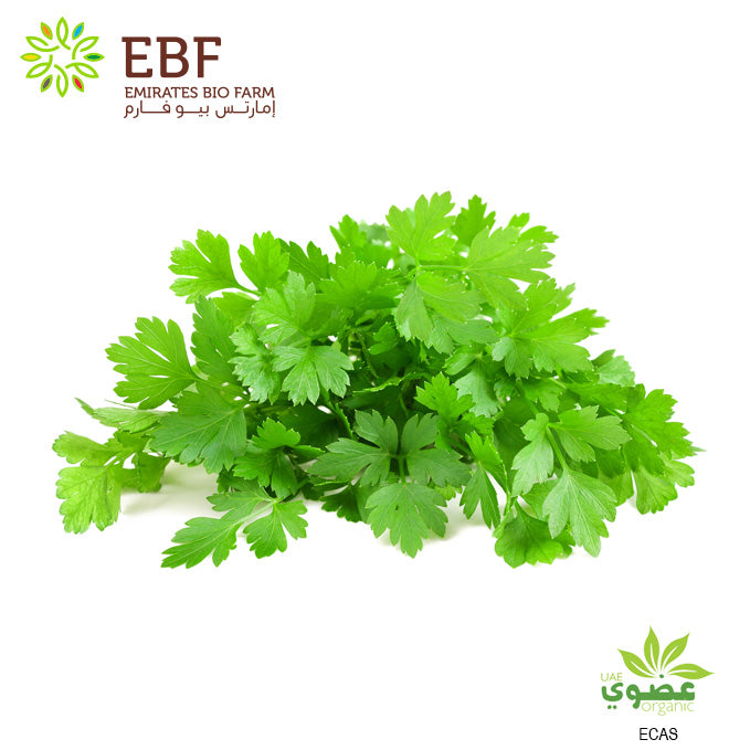 Organic Parsley - Bunch (100gm)