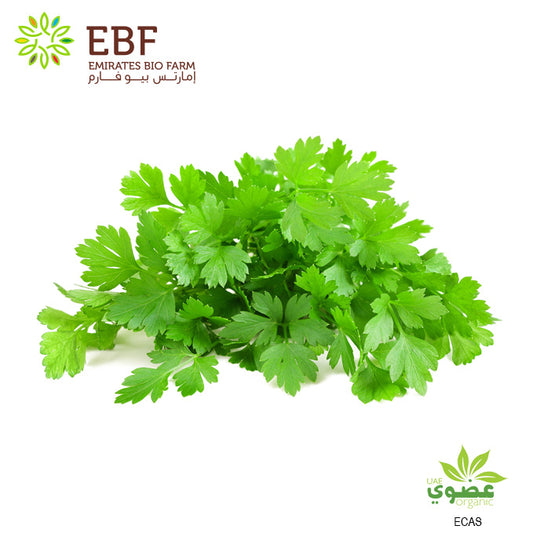 Organic Parsley - Bunch (100gm)