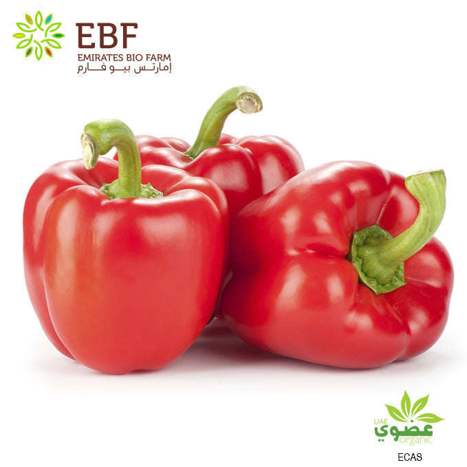 Organic Red Capsicum (500gm)