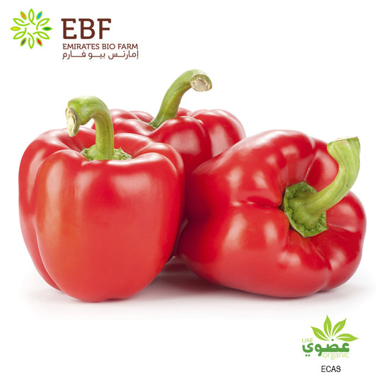 Organic Red Capsicum (500gm)