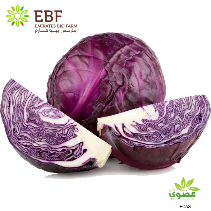 Organic Red Round Cabbage (1kg)