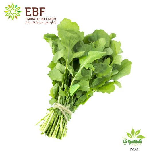 Organic Rocket - Bunch (100gm)