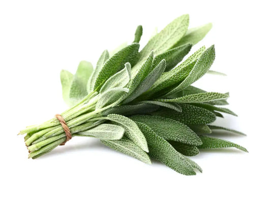 Organic fresh Sage (ميرمية) (100g)