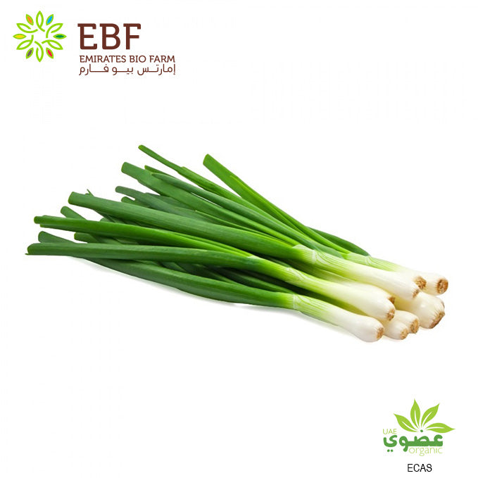 Organic Spring Onion - Bunch (100gm)