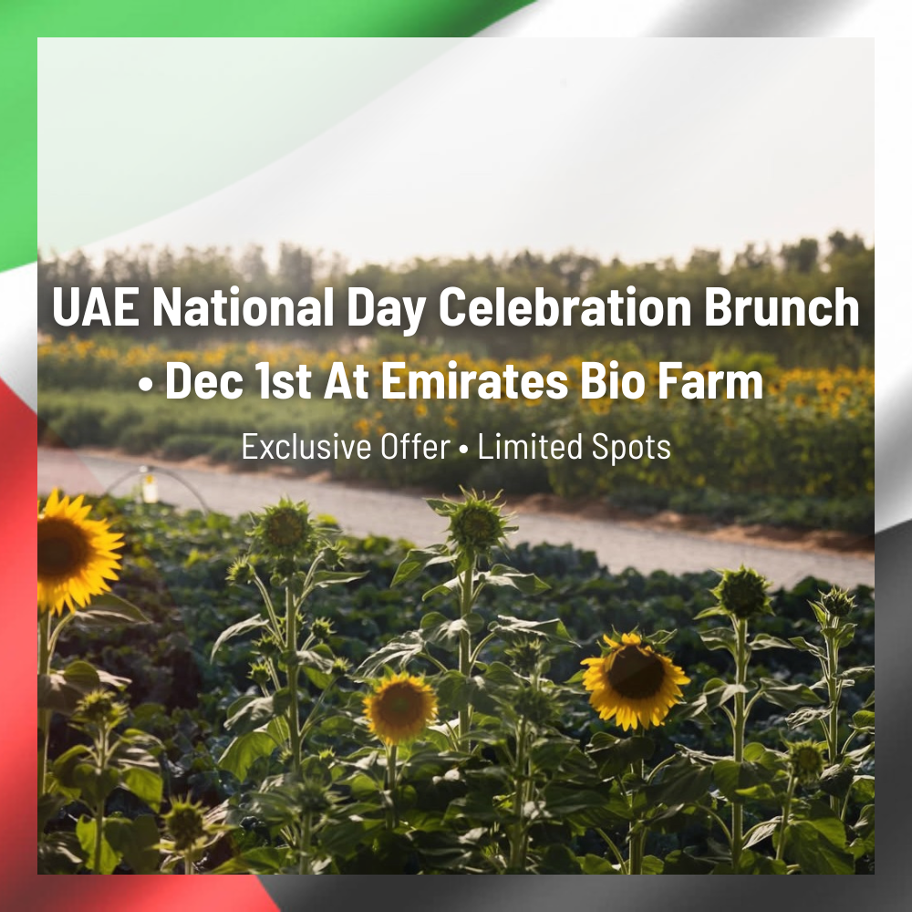 UAE National Day Celebration