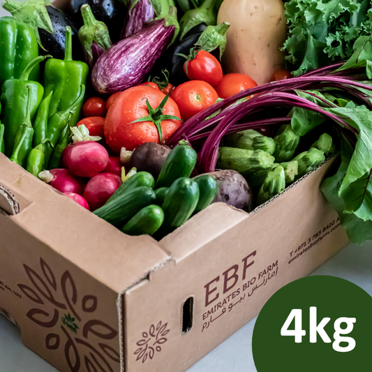 Small box-One Month Subscription+10PCS Eggs-131AED /box