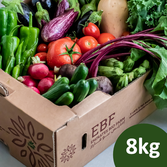 Large box -One Month Subscription+10PCS Eggs- 197AED /box