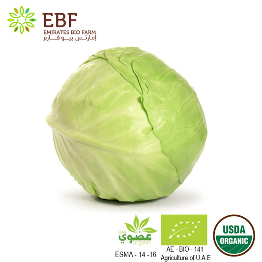 Organic Green Round Cabbage - Approx (1kg)