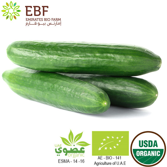 Organic Cucumber (500gm)